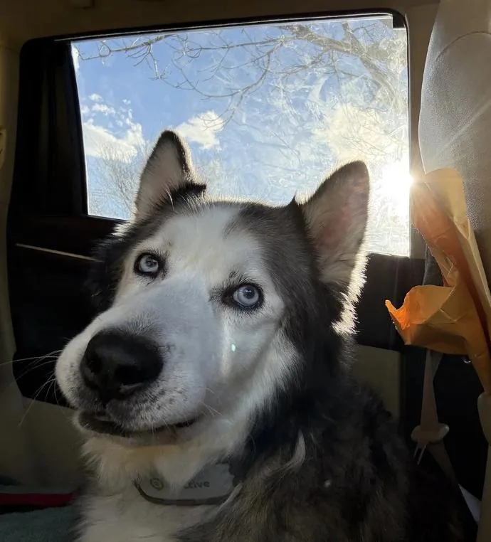 Blizzard thumbnail 4