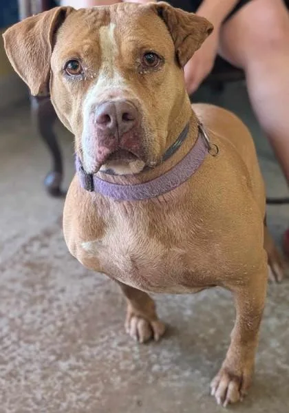 Sayonara thumbnail 2