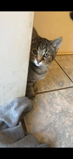 Hyacinth! thumbnail 4