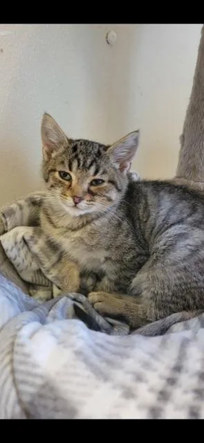 Hyacinth! thumbnail 5