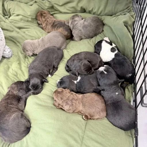 Milwaukee thumbnail 2