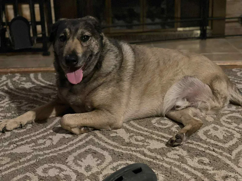 Yardstick thumbnail 2