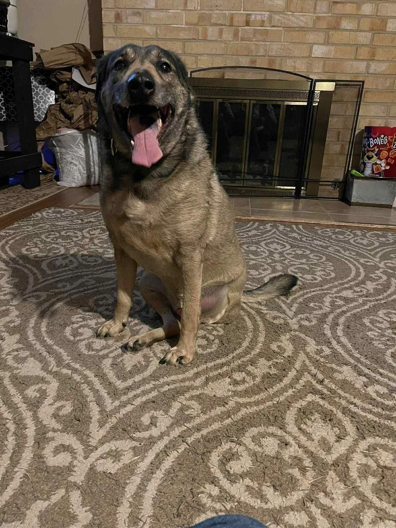 Yardstick thumbnail 3