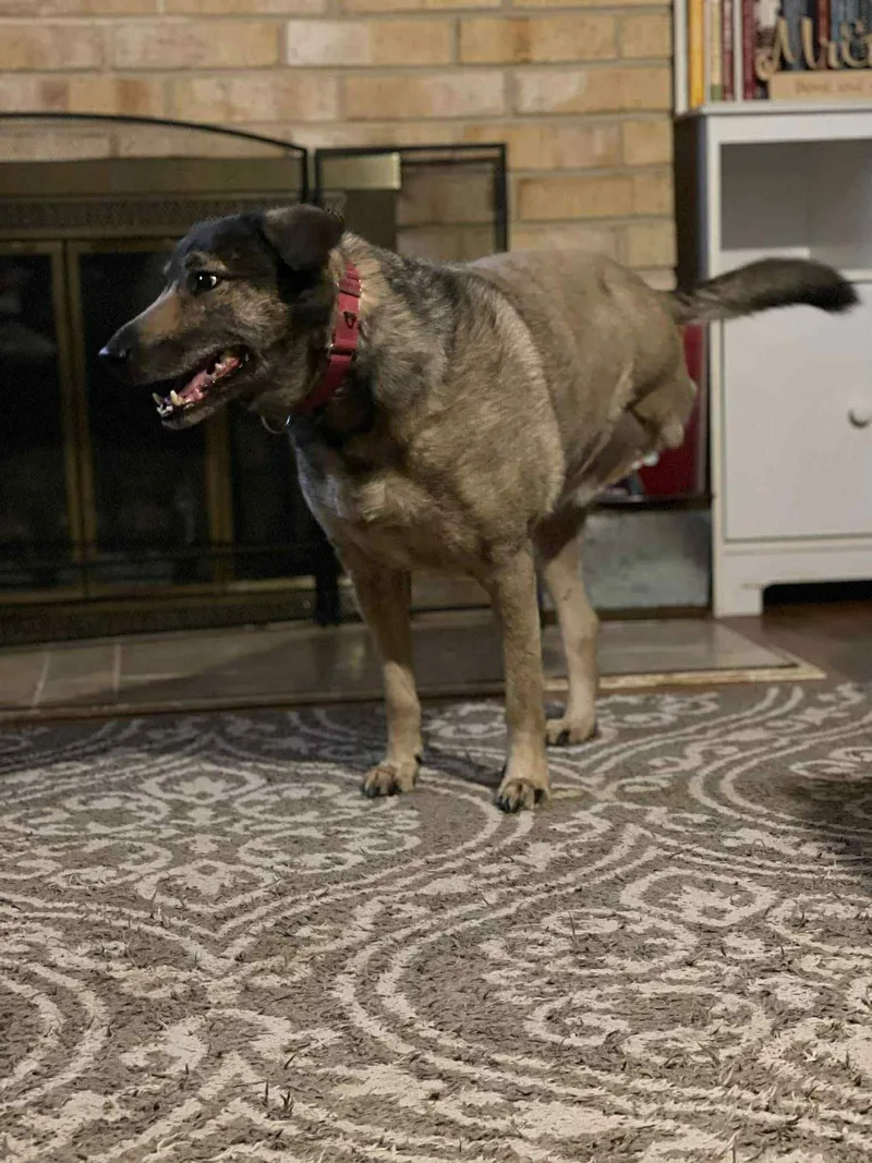 Yardstick thumbnail 5