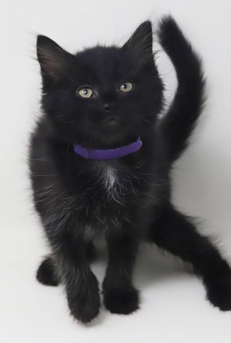 ZAKAI is our fav thumbnail 4