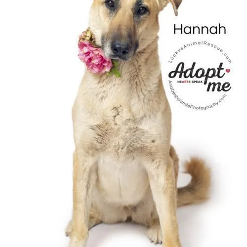Hannah thumbnail 2