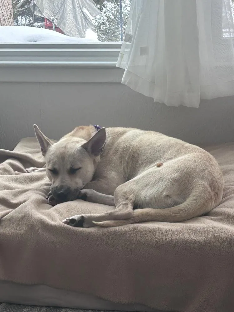 Garland Twist thumbnail 2