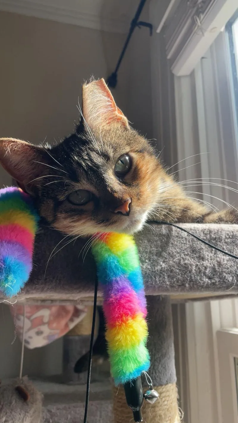 Penelope