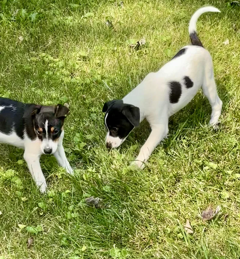 Max and MiMi thumbnail 4