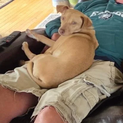 Lil Jack thumbnail 2