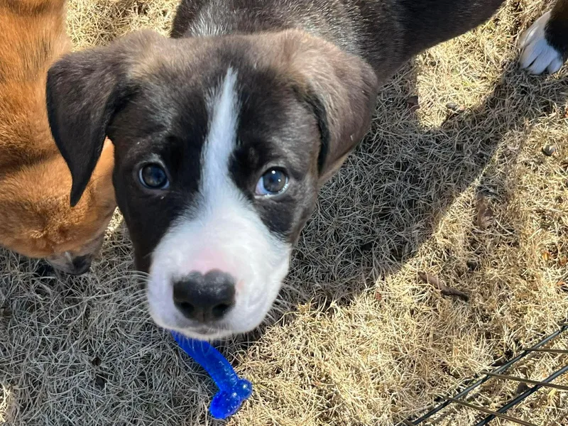 Christopher thumbnail 2