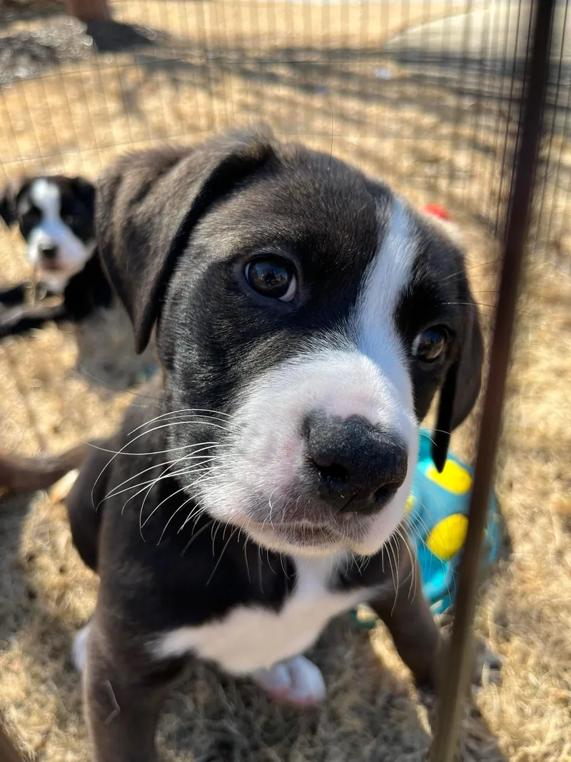 Christopher thumbnail 3