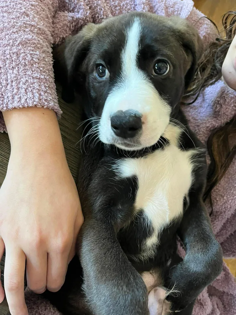 Christopher thumbnail 4