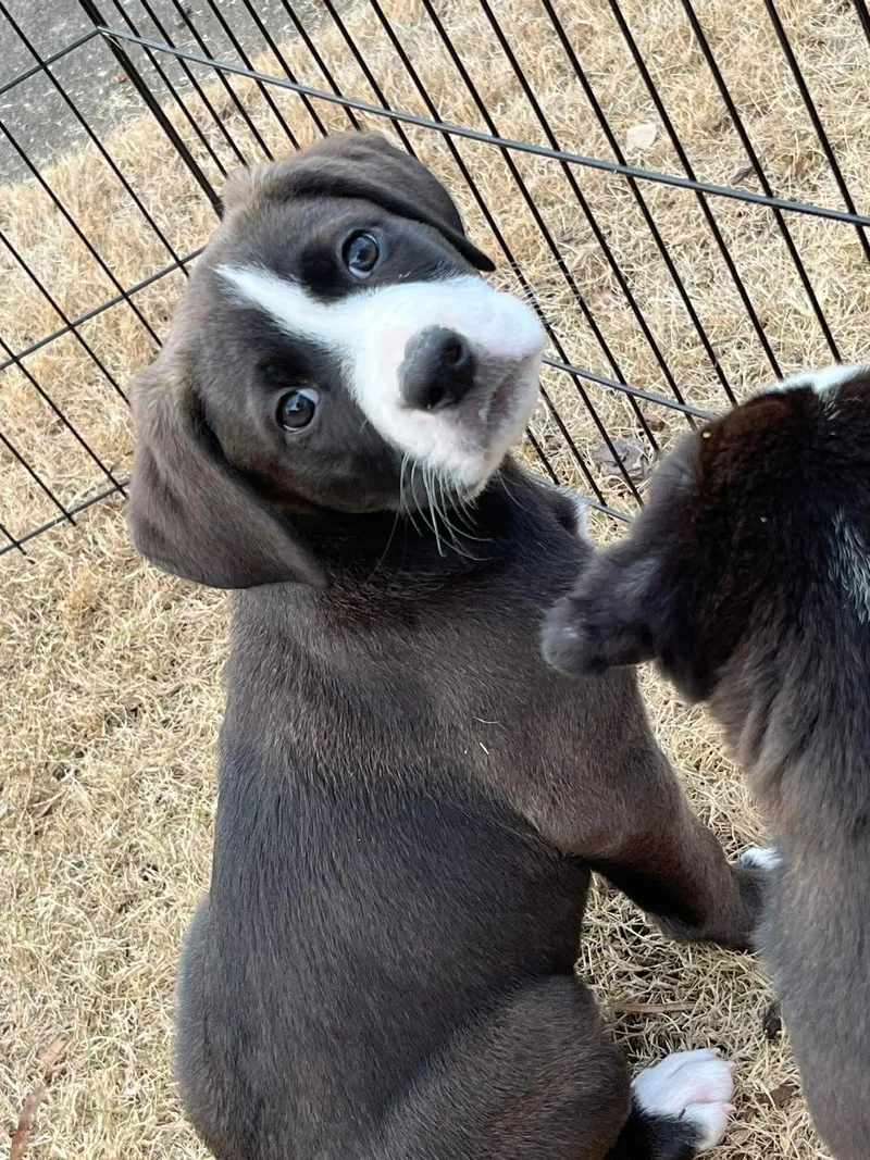 Christopher thumbnail 5