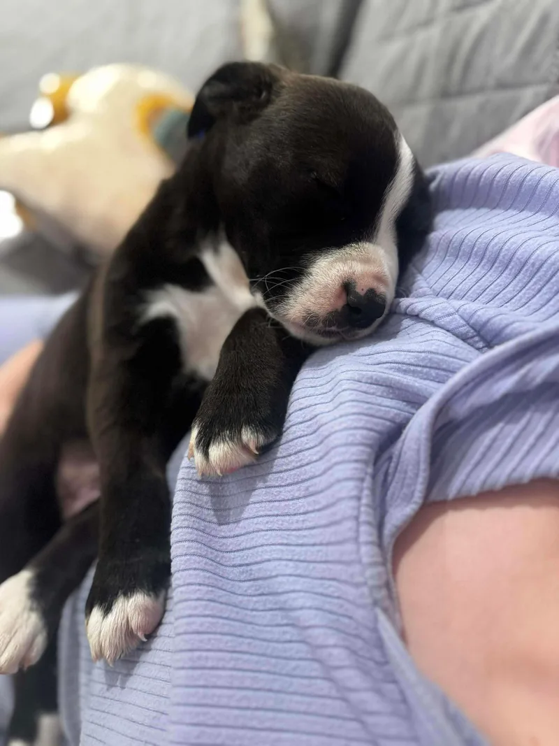 Christopher thumbnail 6