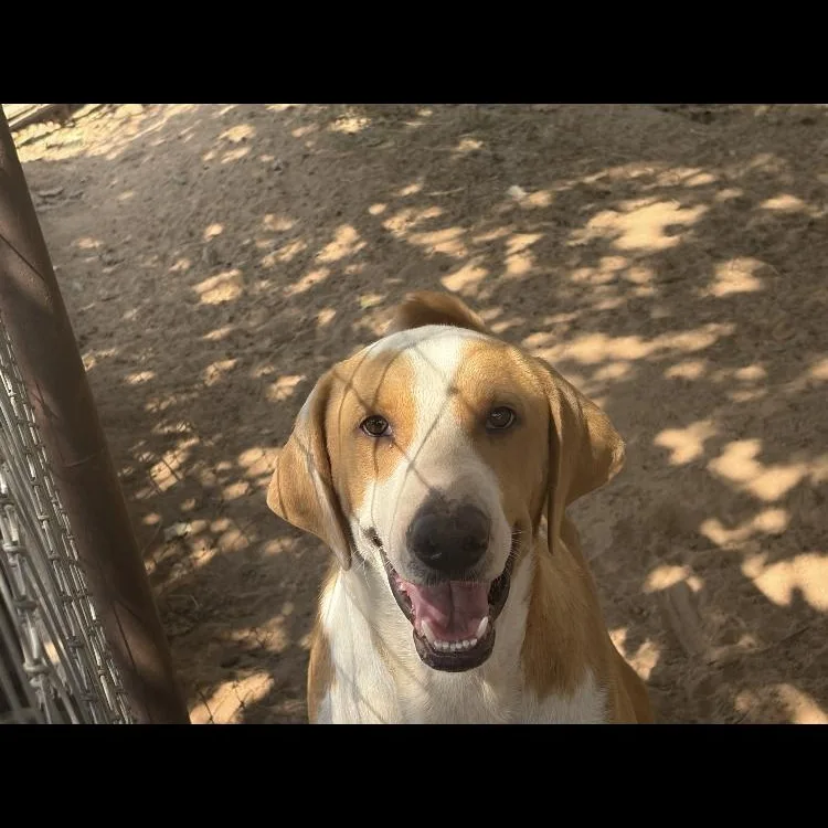 Tucker thumbnail 6