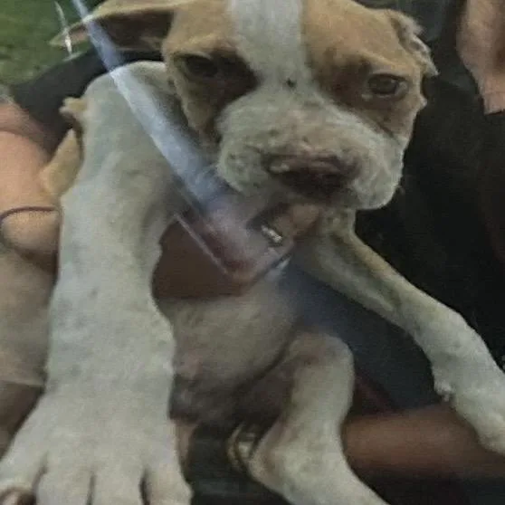 Jax