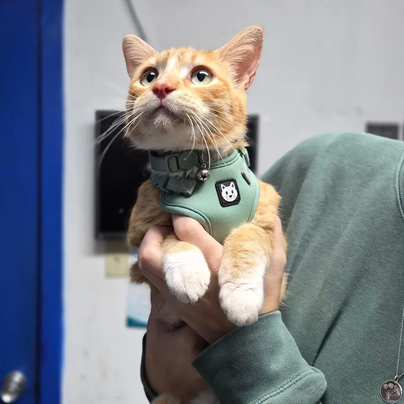 Sebastian thumbnail 2