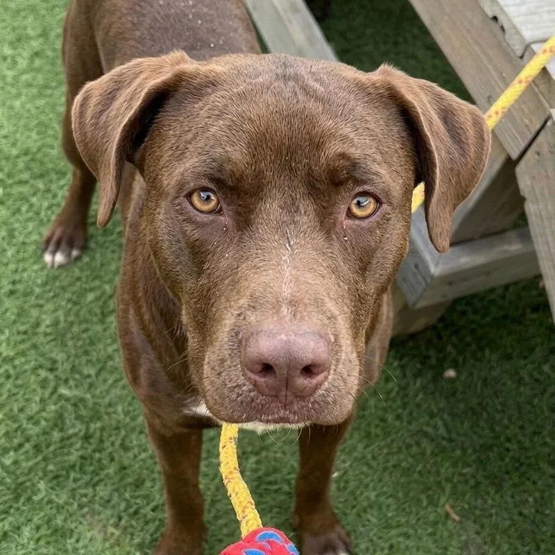 Willy Wonka thumbnail 2