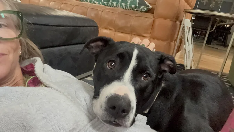 Moco & Choco thumbnail 2