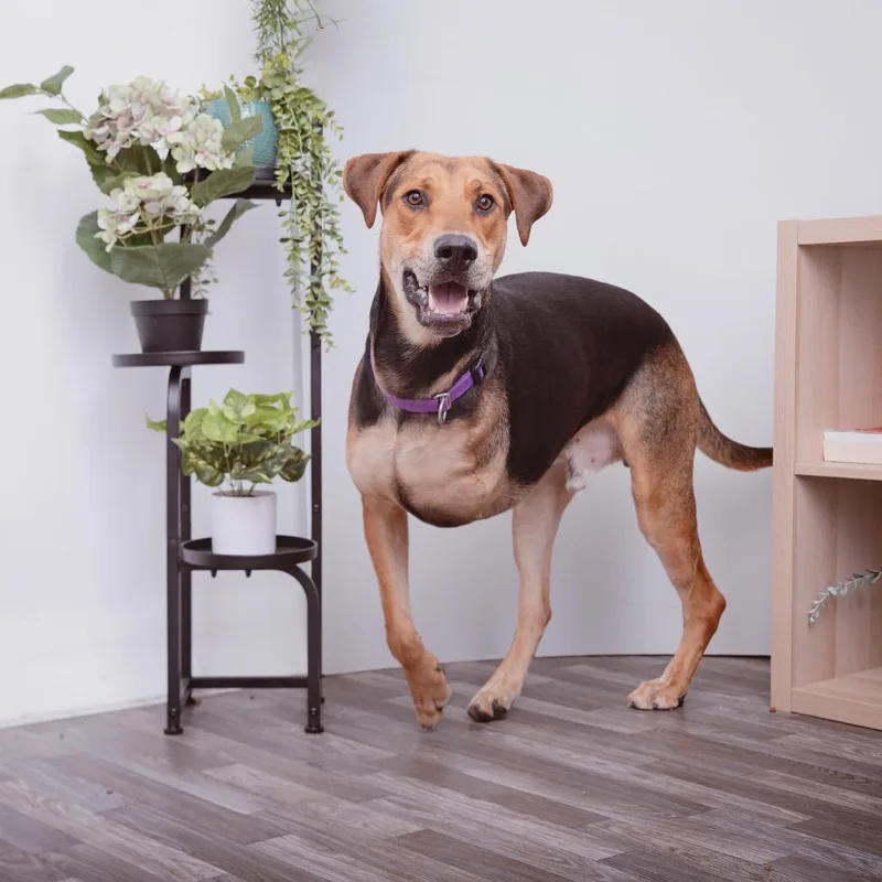 Pedro Pascal thumbnail 2