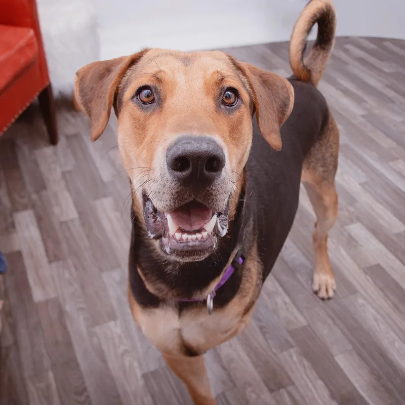 Pedro Pascal thumbnail 3