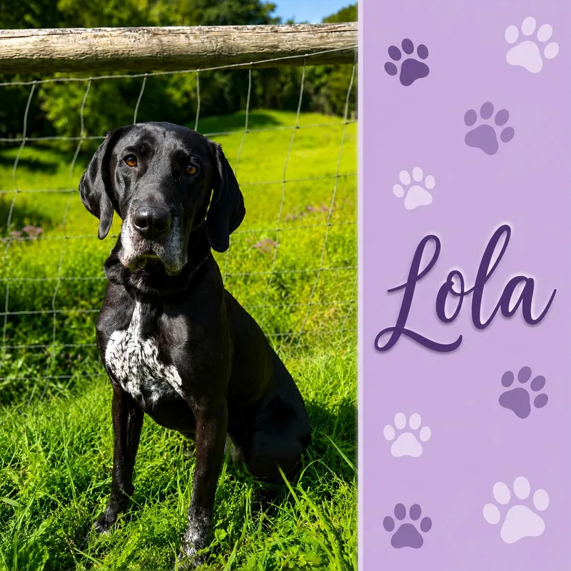 Lola thumbnail 3