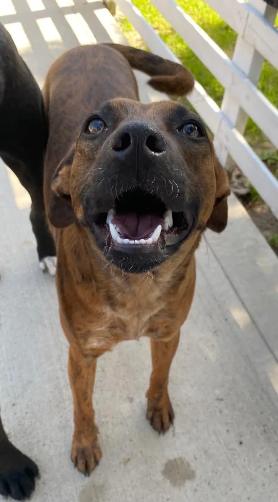 Lucy Sonora thumbnail 4