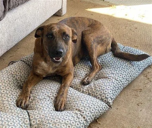 Lucy Sonora thumbnail 6