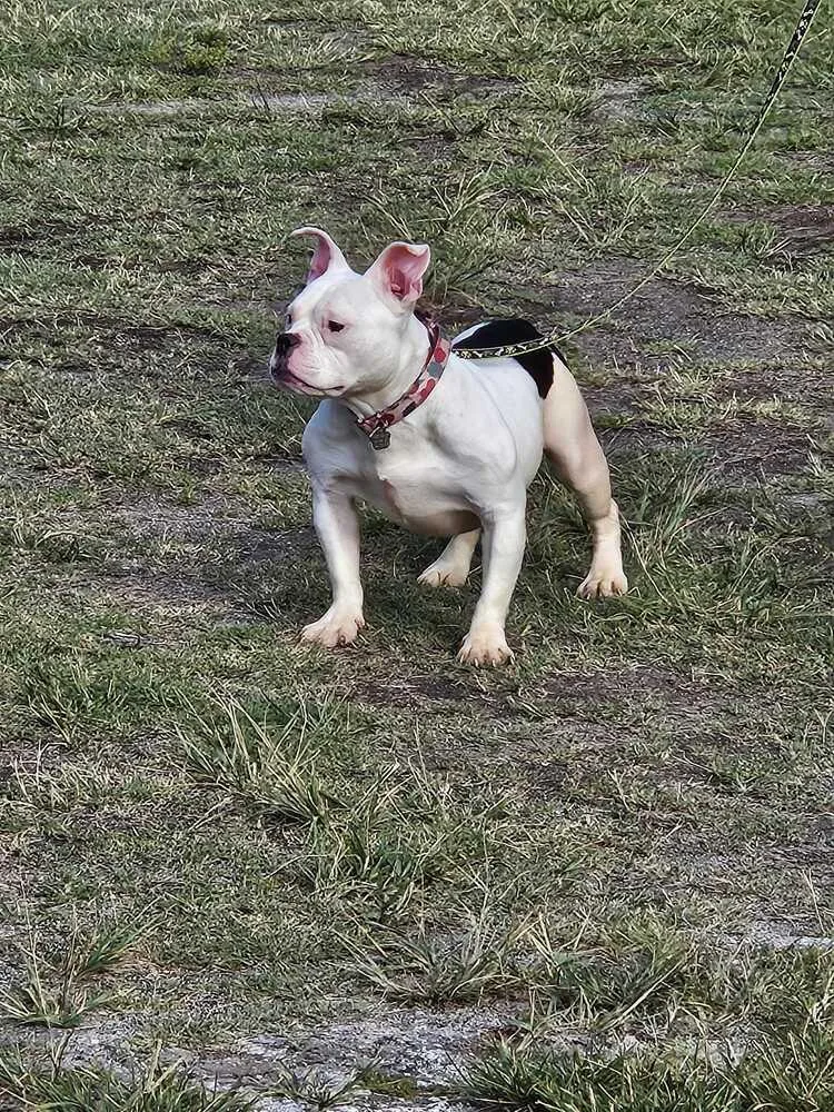 Trudy thumbnail 3