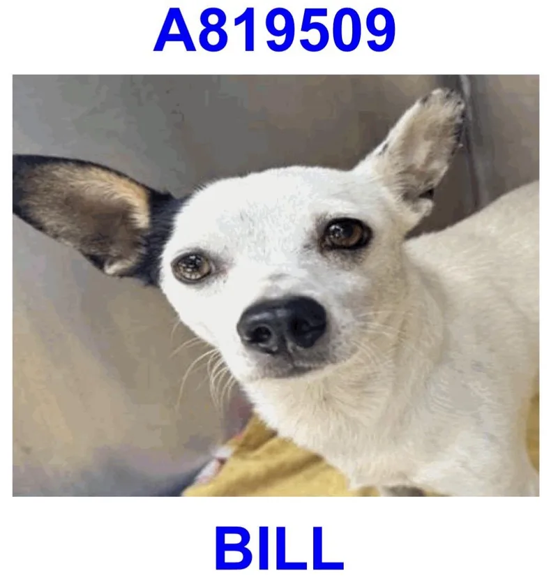 Bill thumbnail 2