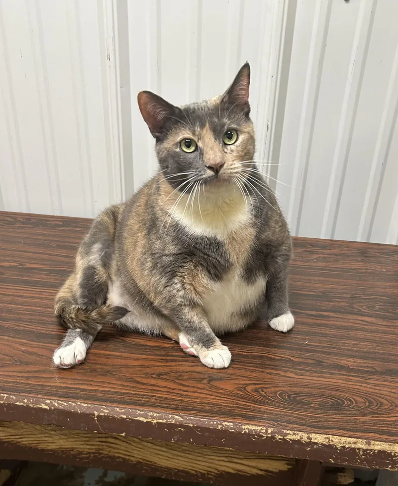 Morganna thumbnail 2