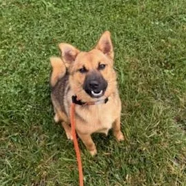 Chico