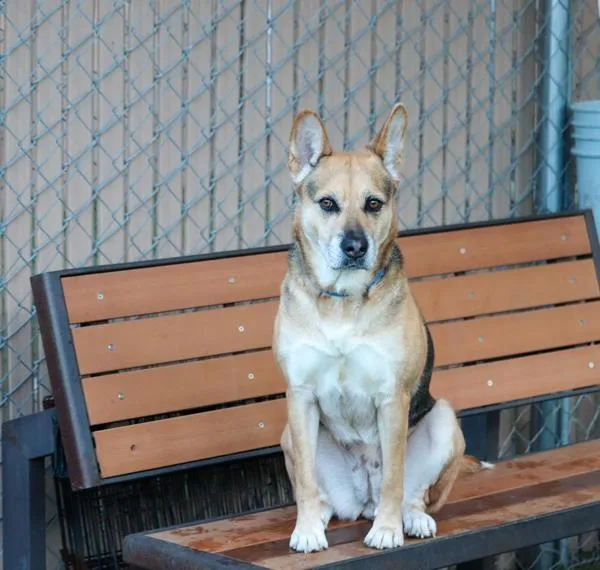 Talladega thumbnail 4