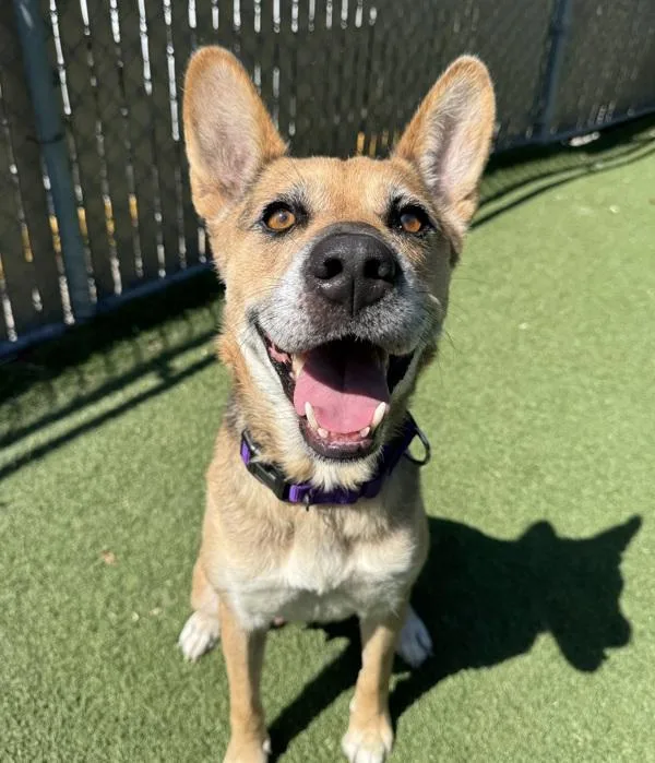 Talladega thumbnail 5