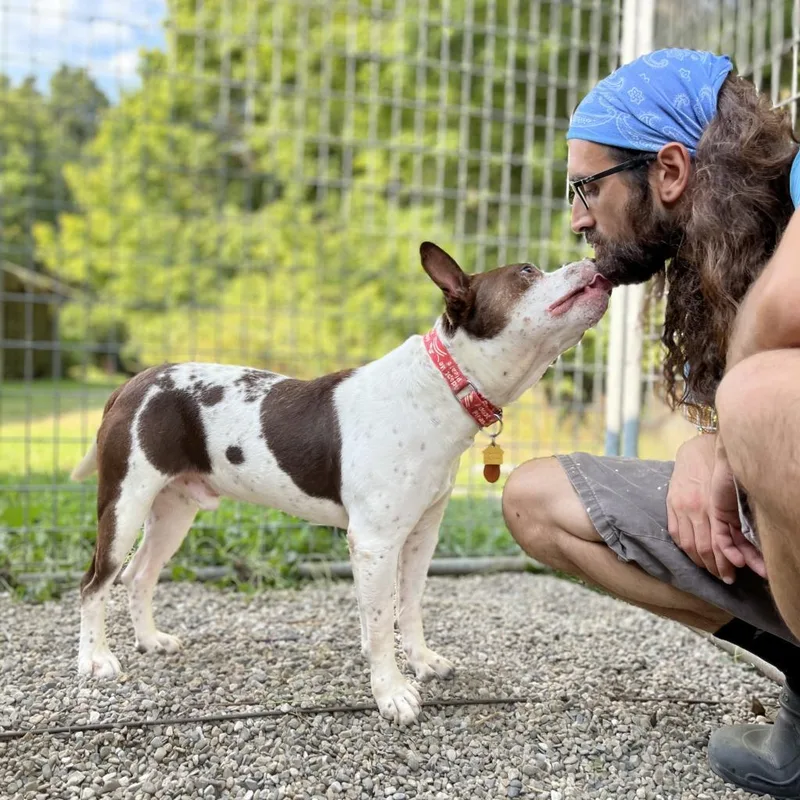 Gump thumbnail 2