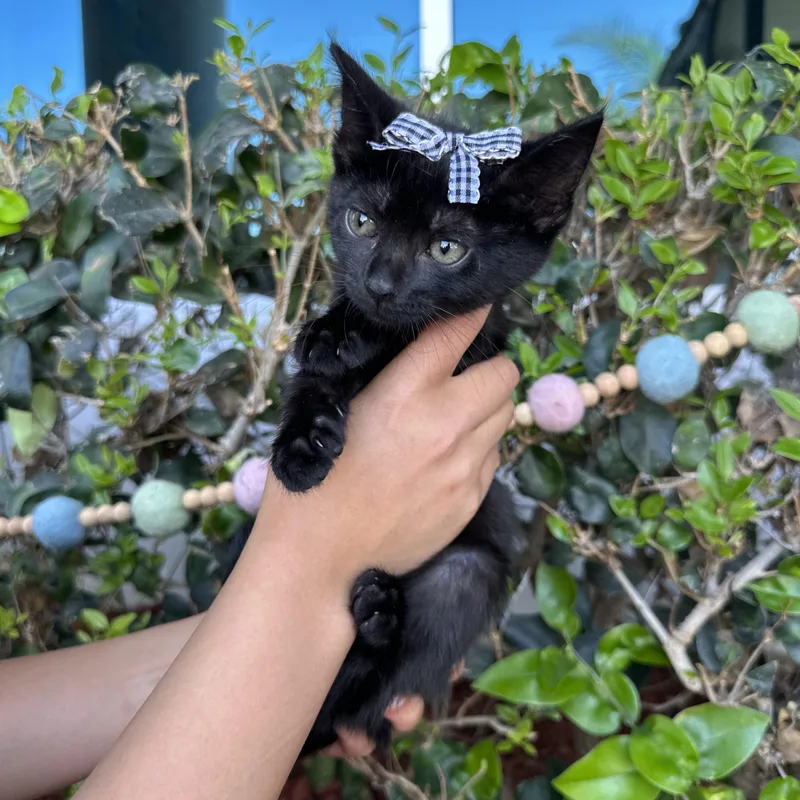 Sabrina thumbnail 2