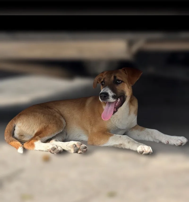 Chaquita thumbnail 2