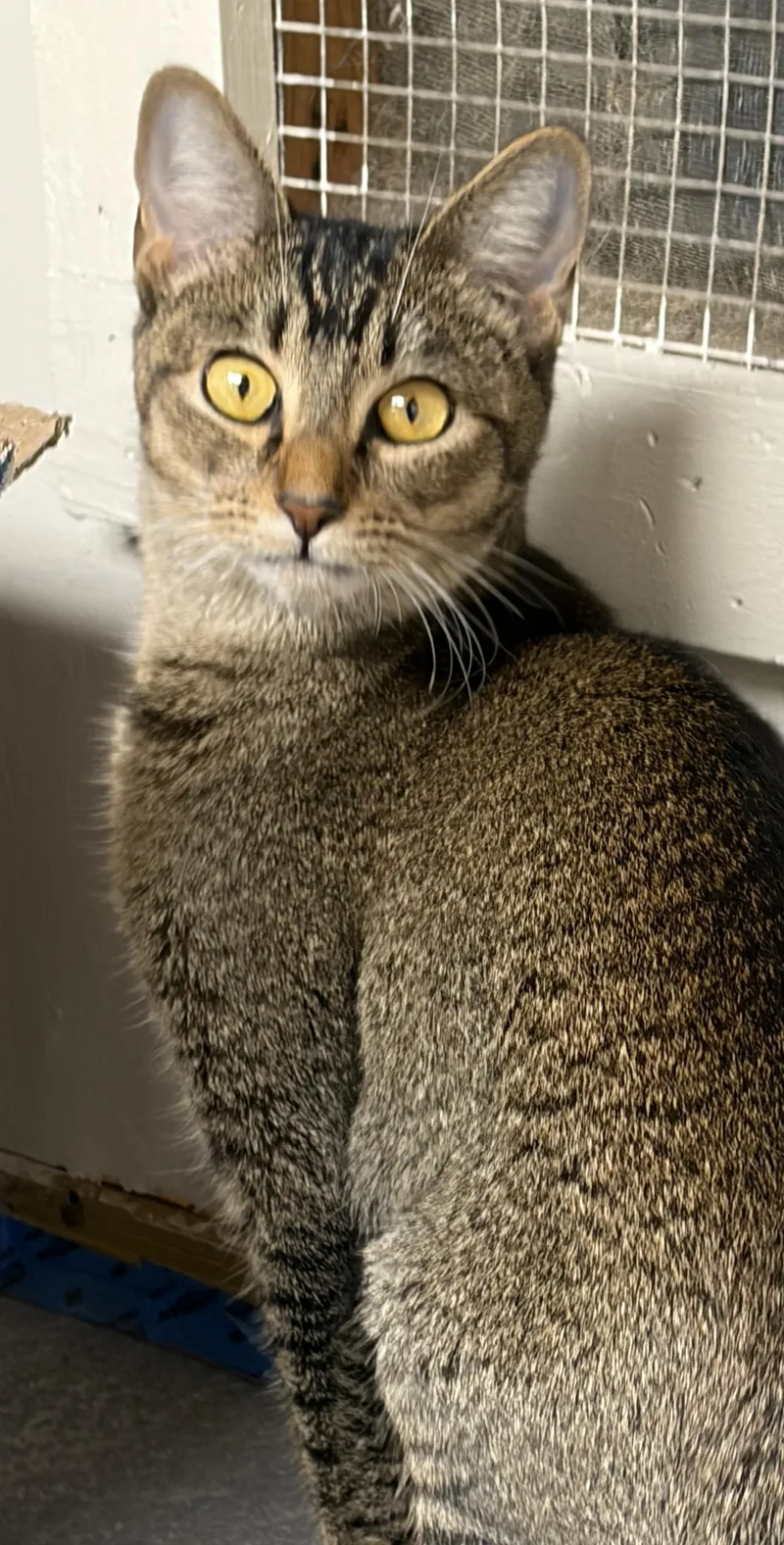 Luna Tuna thumbnail 2