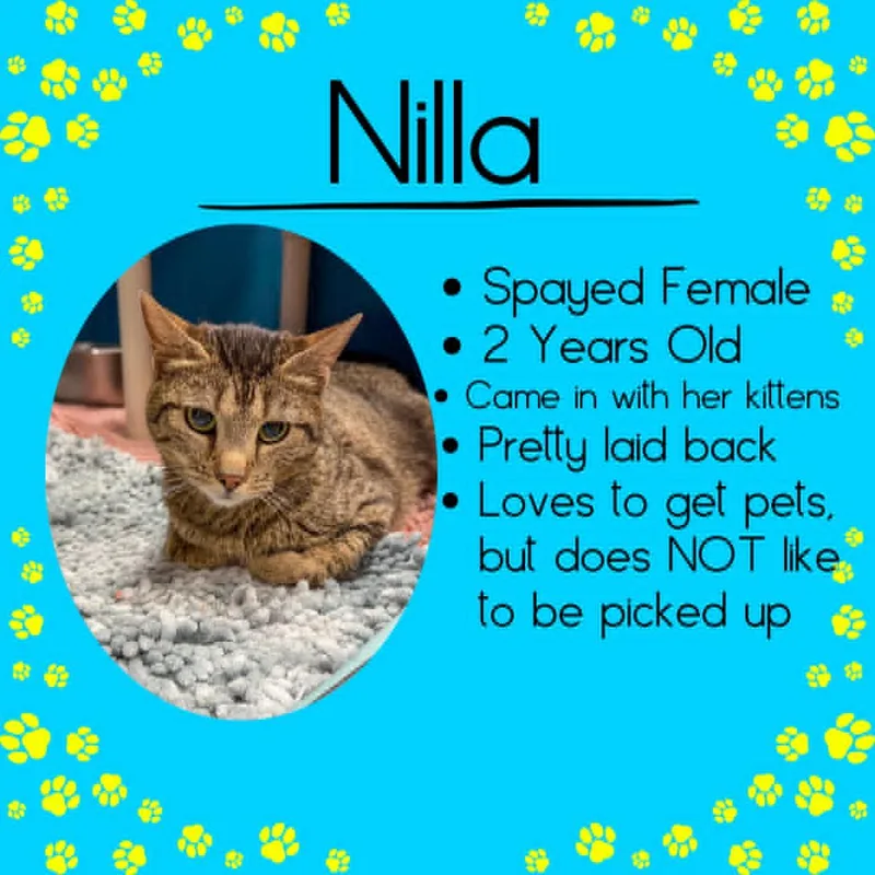 Nilla