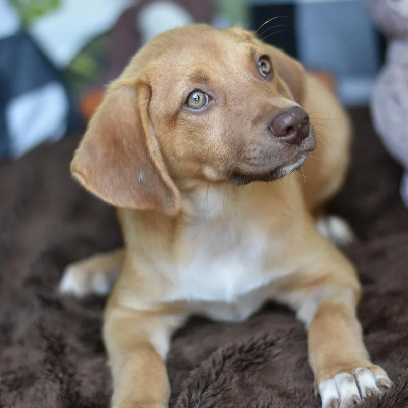 Fergie thumbnail 2