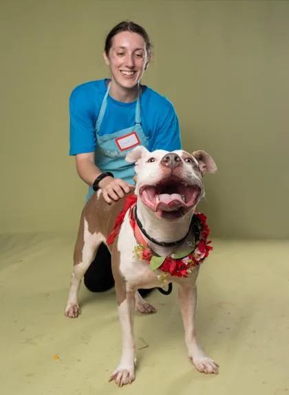 Howlie thumbnail 3