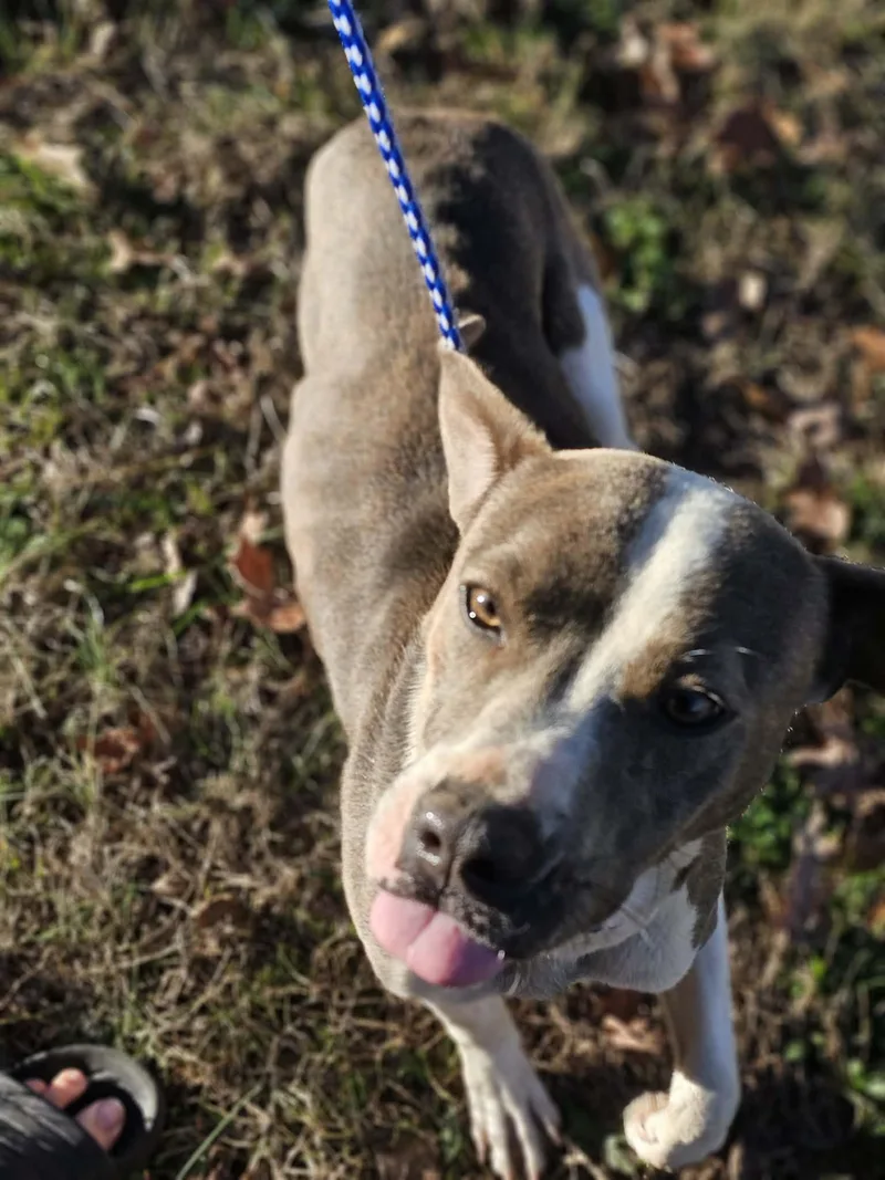 Grace Lynn thumbnail 2