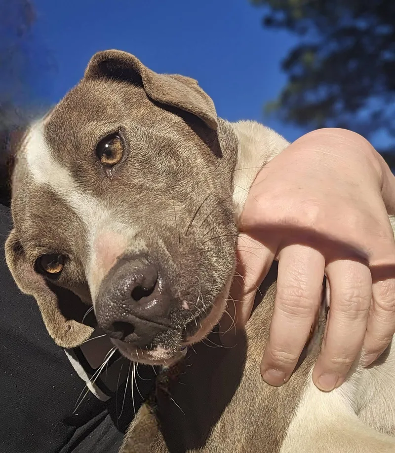 Grace Lynn thumbnail 3