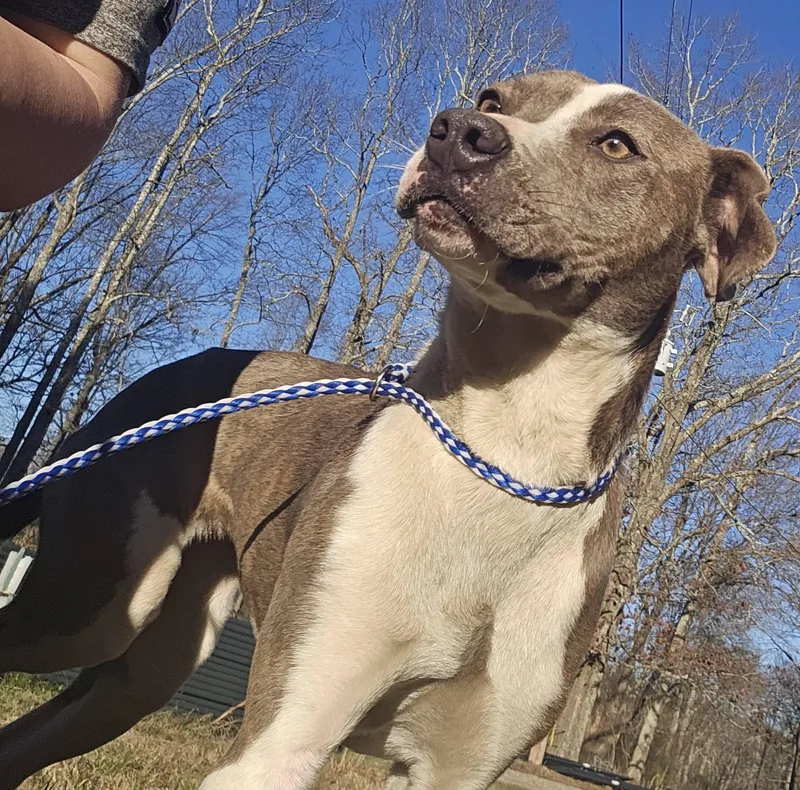 Grace Lynn thumbnail 4