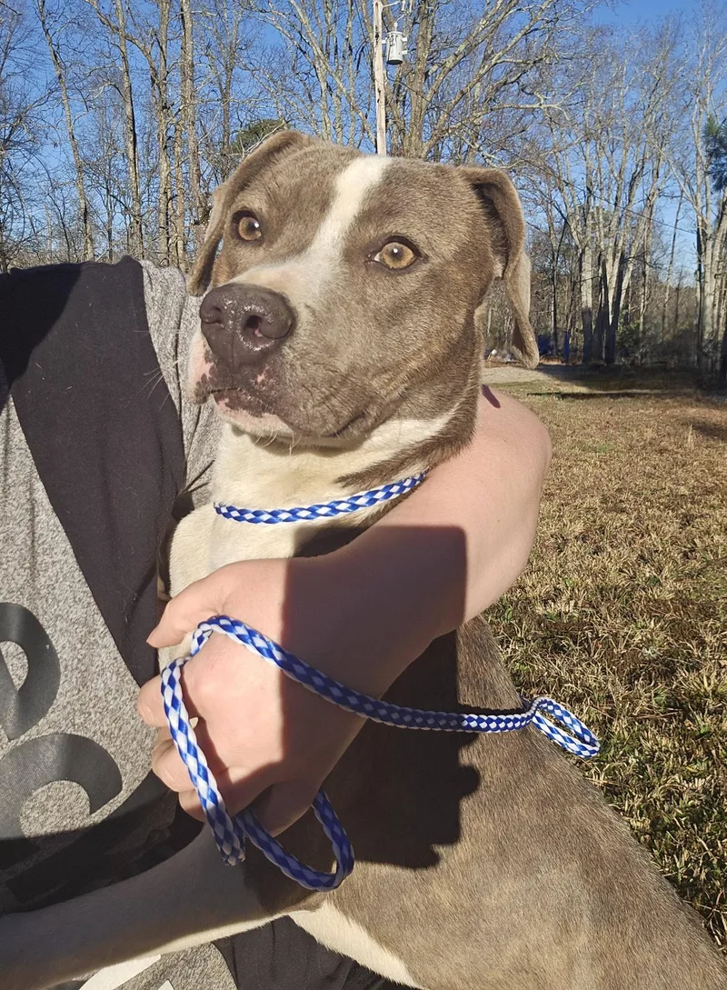 Grace Lynn thumbnail 5