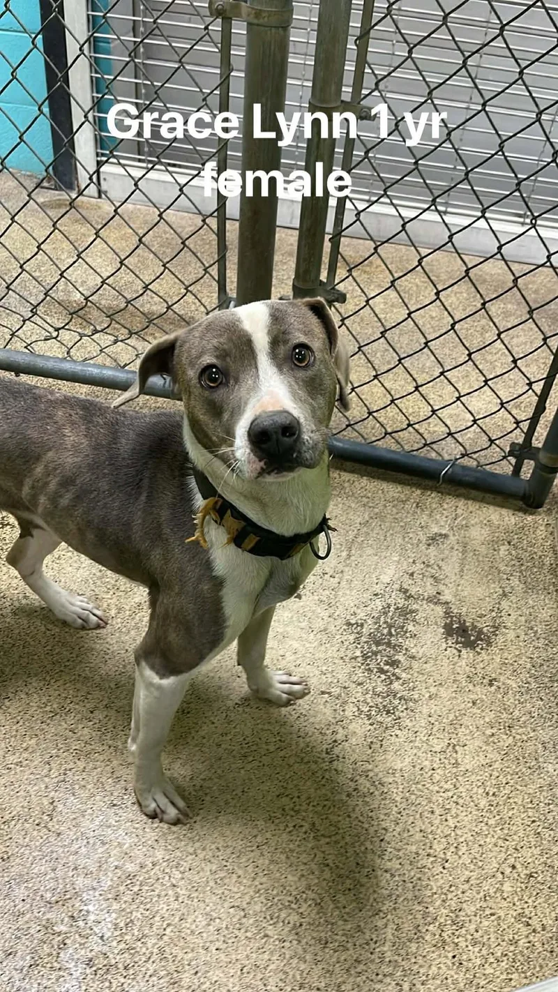 Grace Lynn thumbnail 6