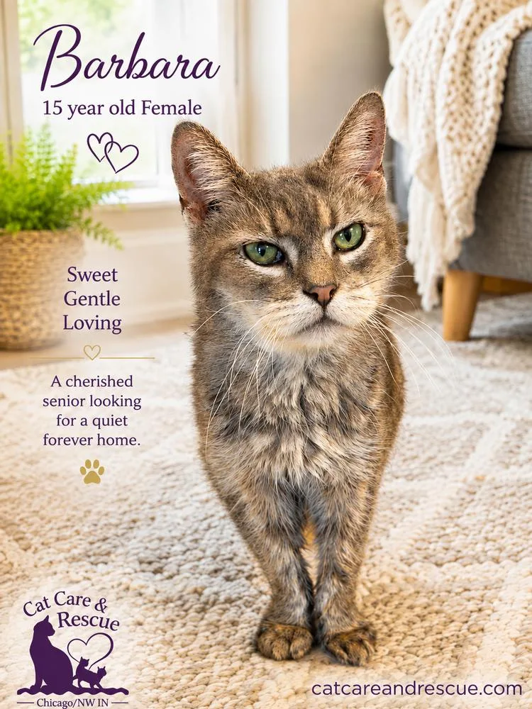 Barbara Bonded Pair with thumbnail 2
