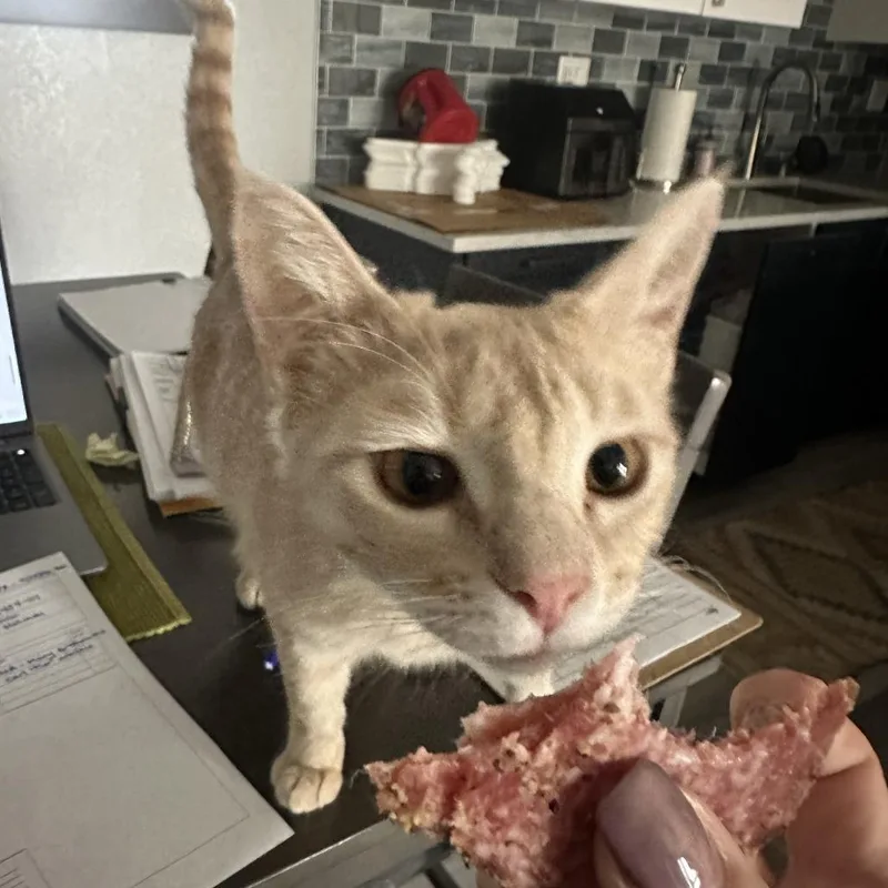 Mama Peaches thumbnail 2