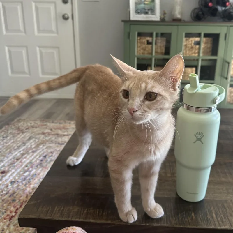 Mama Peaches thumbnail 3